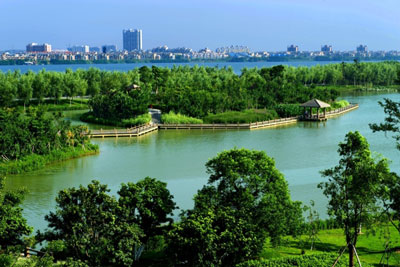 生態(tài)濕地工程