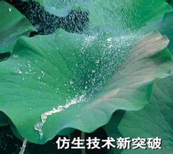 清達(dá)環(huán)保超分子膜化仿荷葉膜技術(shù)