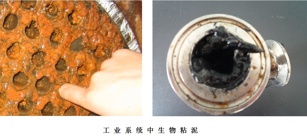 工業(yè)系統(tǒng)粘泥污垢